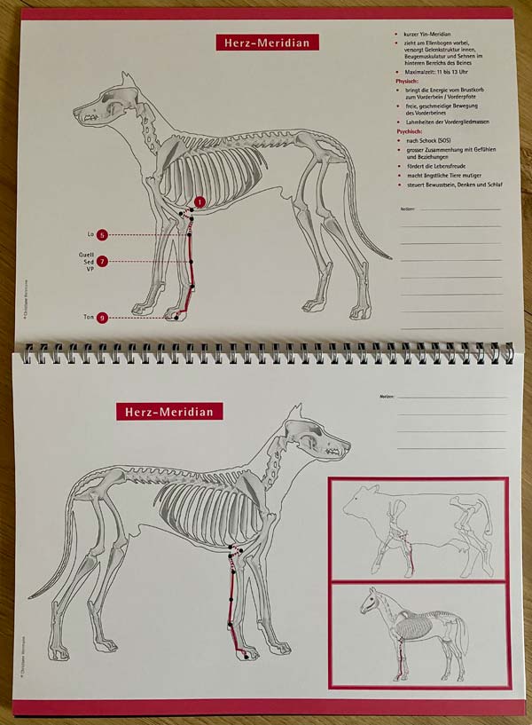 Doppelseite aus dem Meridian-Atlas für Hunde: Verlauf des Herz-Meridians am Hundeskelett, mit kleinen Abbildungen für Kuh und Pferd